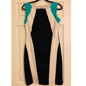 Bodycon Dress